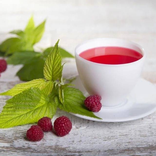 Чай из листьев малины: польза и вред для женщин, как приготовить в домашних условиях