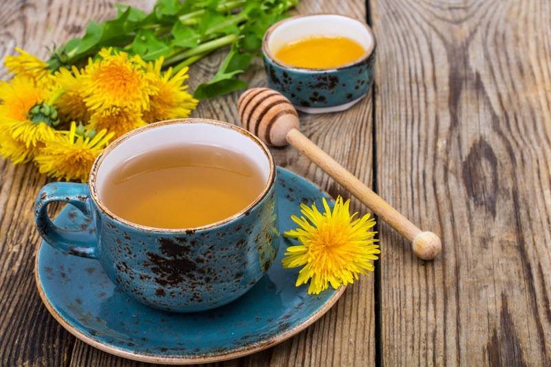 Чай из одуванчиков - польза и вред для организма мужчины и женщины. полезные свойства и противопоказания