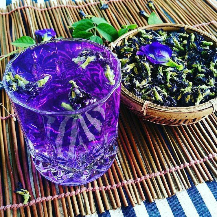 Синий чай из тайланда — «анчан»