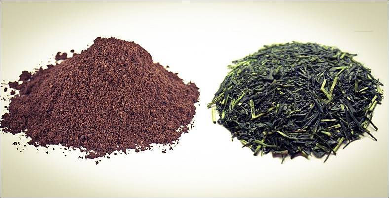Кофеин в чае: сколько его в зеленом и есть ли в черном