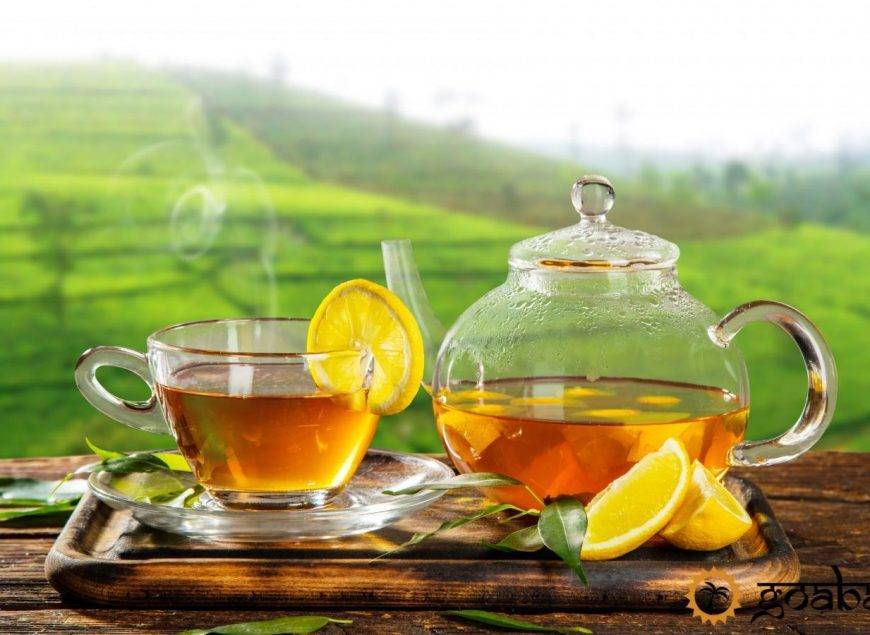Горячий чай в жару: почему летом надо пить зеленый чай