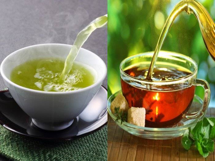 5 причин выбрать зеленый чай, а не черный (сравнение видов)