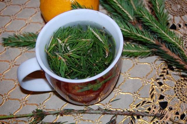 Таежный чай из хвои… 5 рецептов полезного напитка - книга рецептов