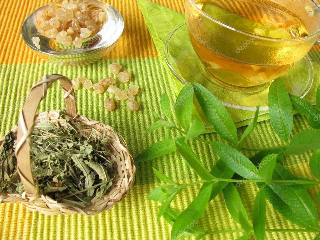 Чай из листьев инжира - полезные свойства и вред