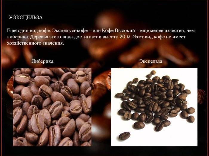 Виды кофе: разновидности кофейных напитков, список названий, какие они бывают