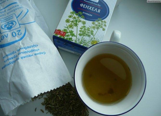 Чай с фенхелем для кормящих мам, приготовление фенхелевого чайного напитка