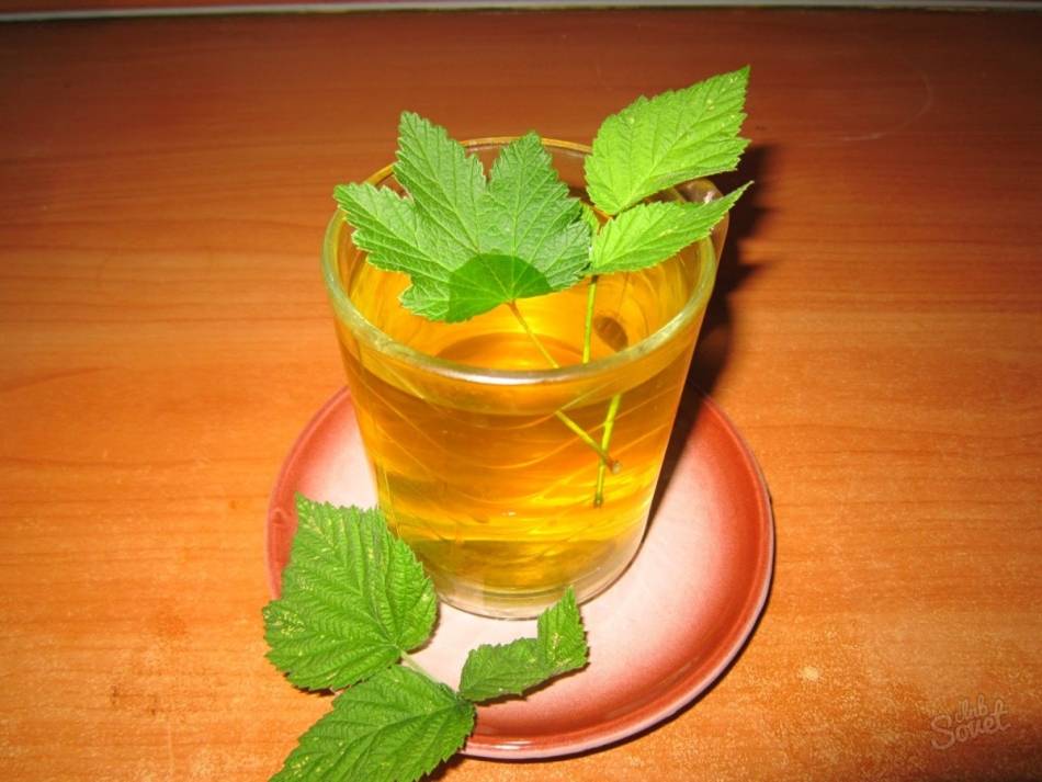 Как правильно готовить чай из листьев смородины и малины