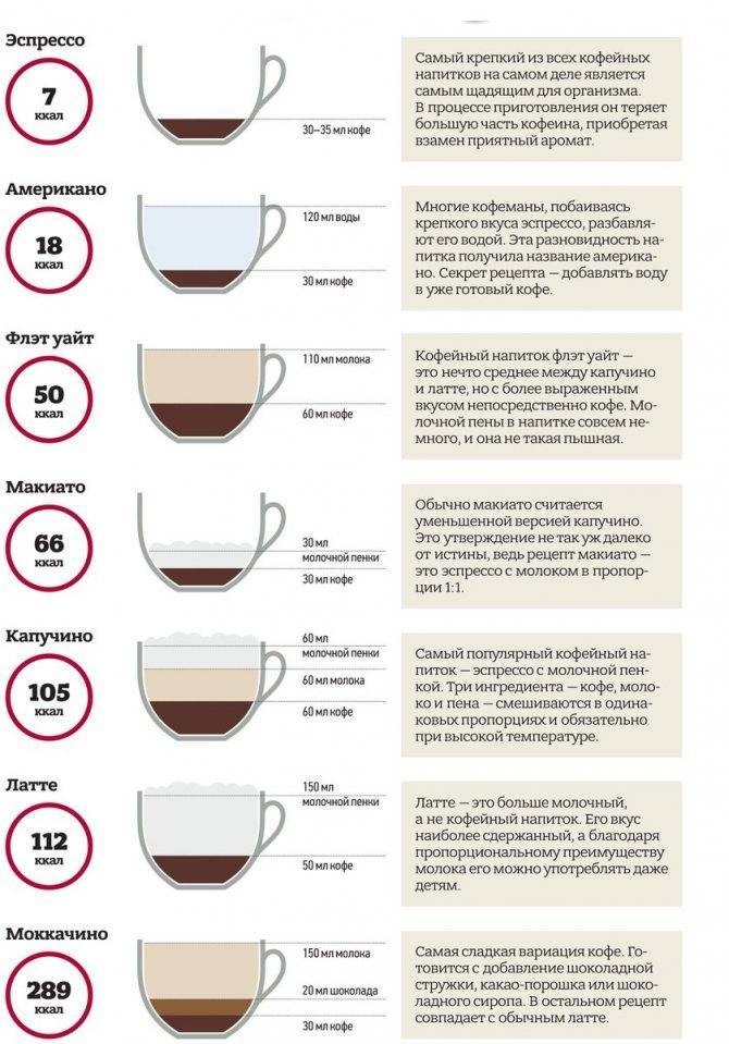 Сколько чашек кофе пить в день без вреда для здоровья