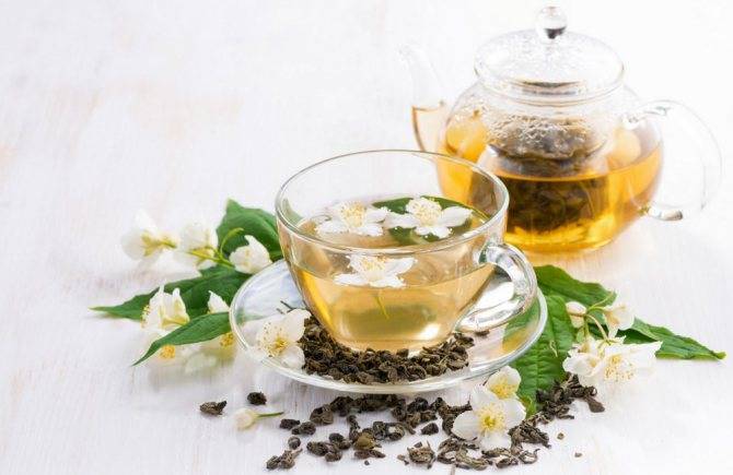 Жасминовый чай – чем полезен и как заваривать