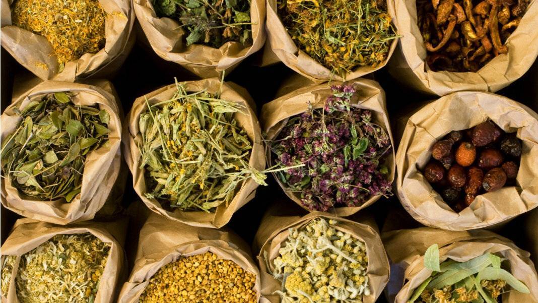 Изготовление чая в домашних условиях: чайный бизнес на иван-чае — как заработать: план для магазина, лавки женщине — profylady