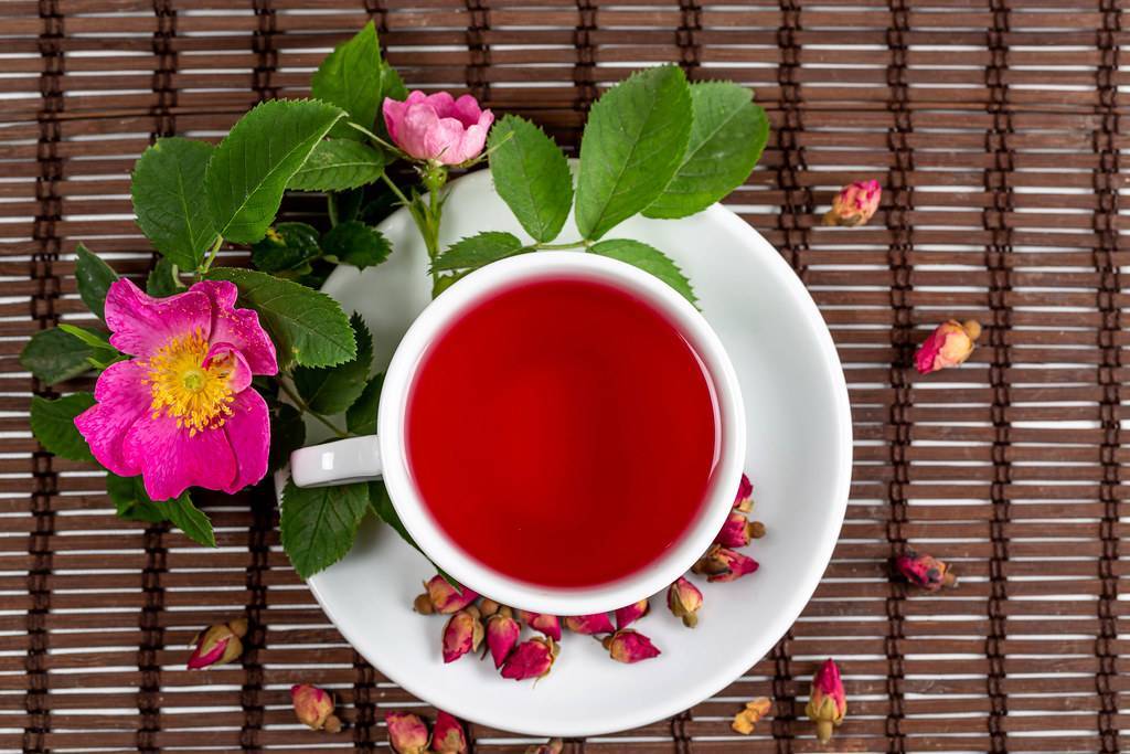Как правильно заваривать чай с шиповником: рецепты чая и настоя с шиповником | блог о красоте и здоровье