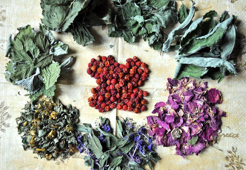 Как сделать домашний чай своими руками. травяной и пряный чай — рецепты
