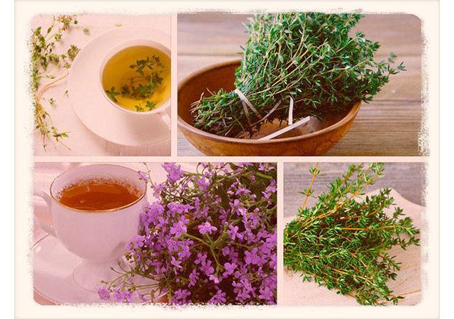 Чай с чабрецом: польза и вред, 7 рецептов и противопоказания